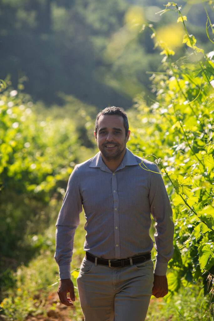 Andrea Pagliai vigna
